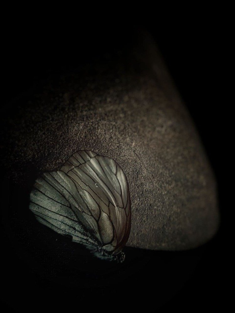 Photograph by Светлана Валентионок