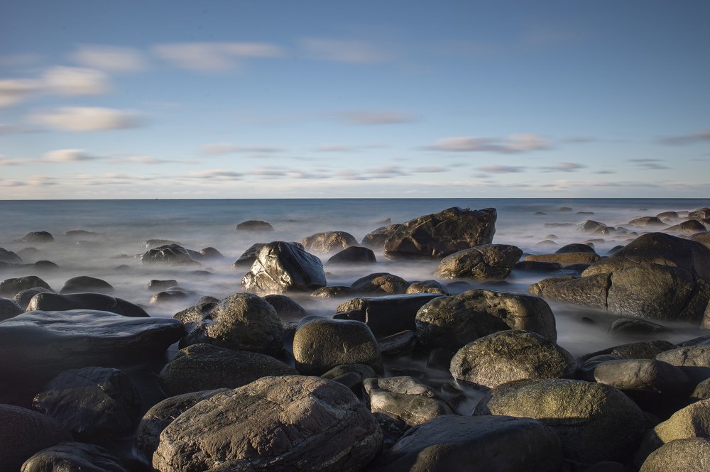 They are watching from the water