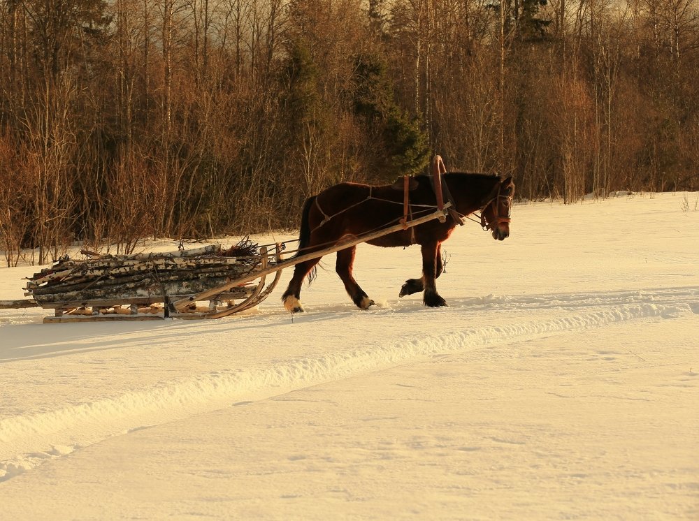 Фотография автора Юрий Кетель