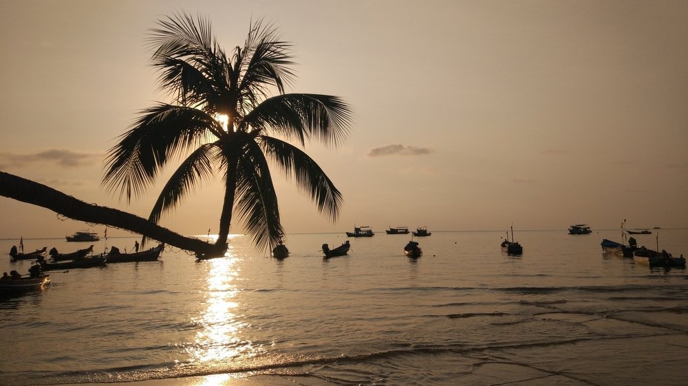 Photograph by Снежана Фирсова