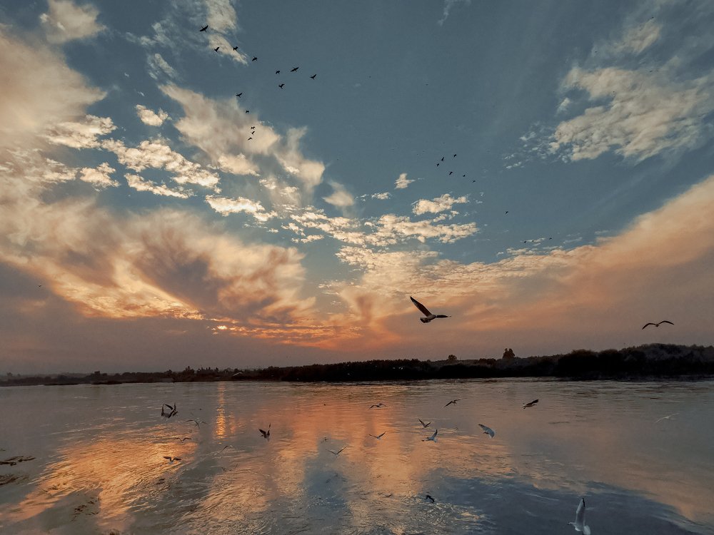 Photograph by Daad Zakarya