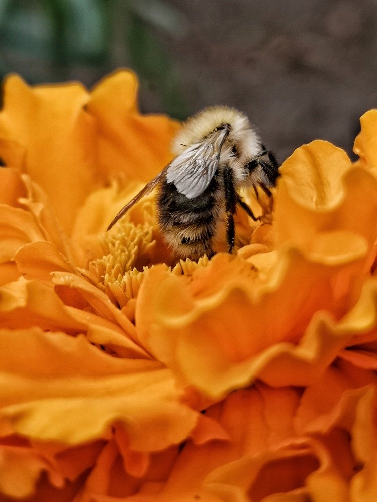 Photograph by Natali