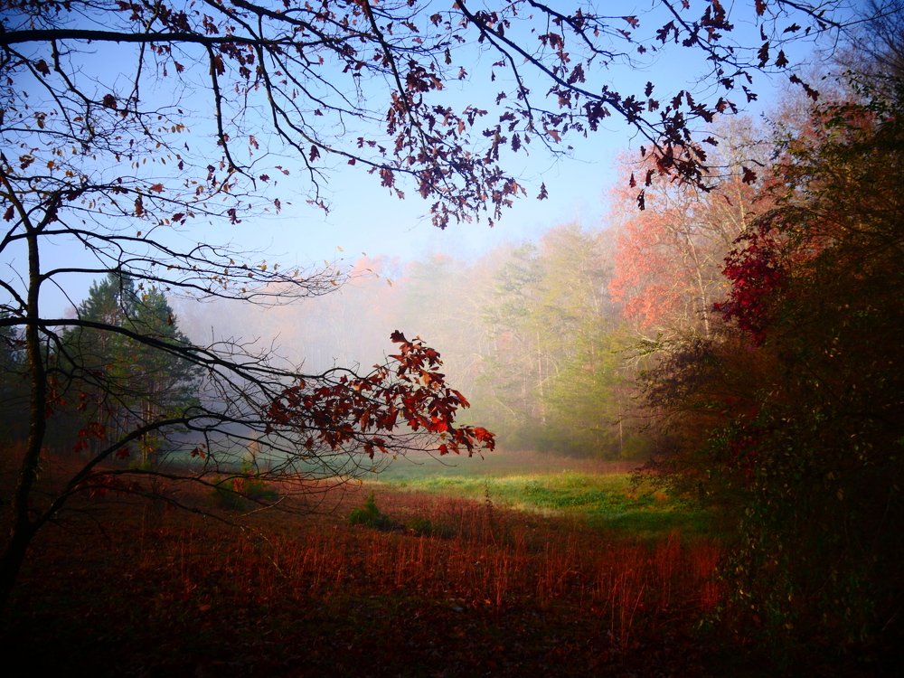 Фотография автора Silvija Janero