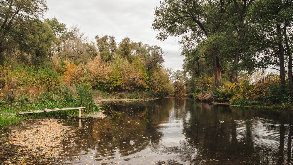 Photograph by Юрий Вертиков