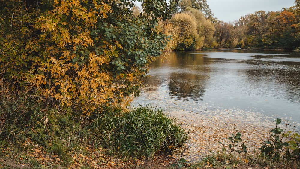 Photograph by Юрий Вертиков