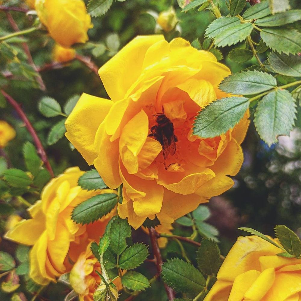 Photograph by Николай Авраменко