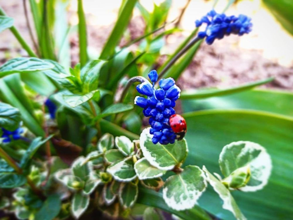 Photograph by Николай Авраменко