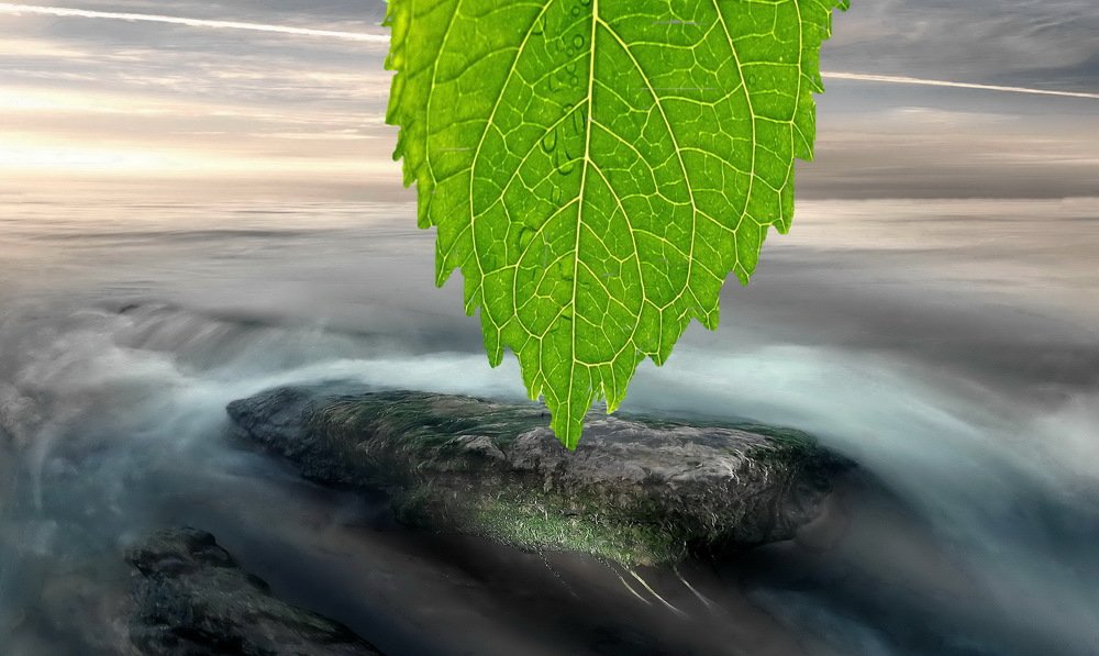 Photograph by Сергей Кошелев