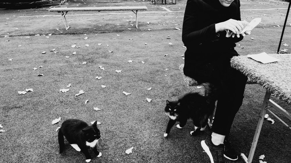 Photograph by Юрий Вертиков