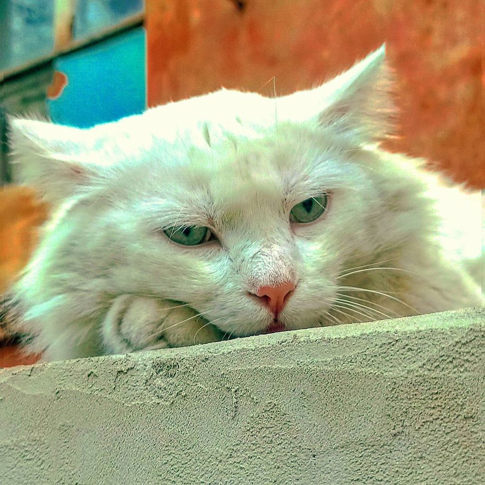 Photograph by Николай Авраменко