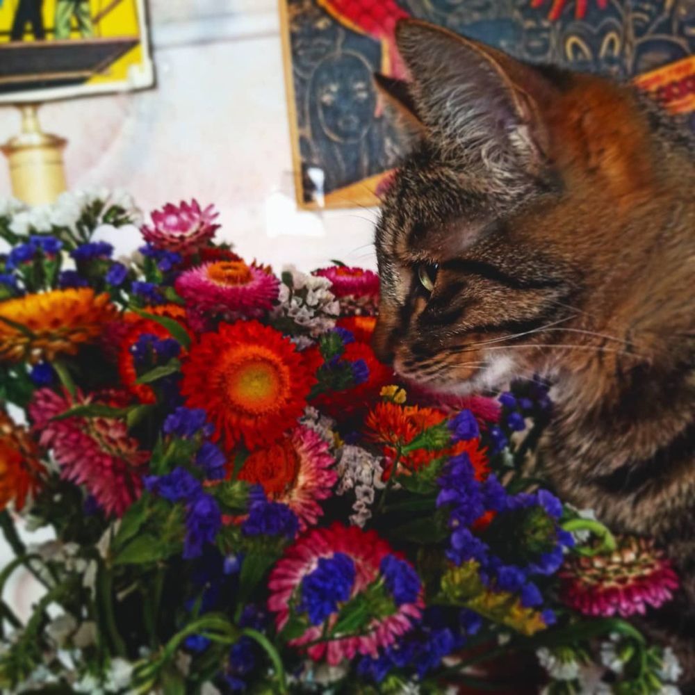 Photograph by Николай Авраменко