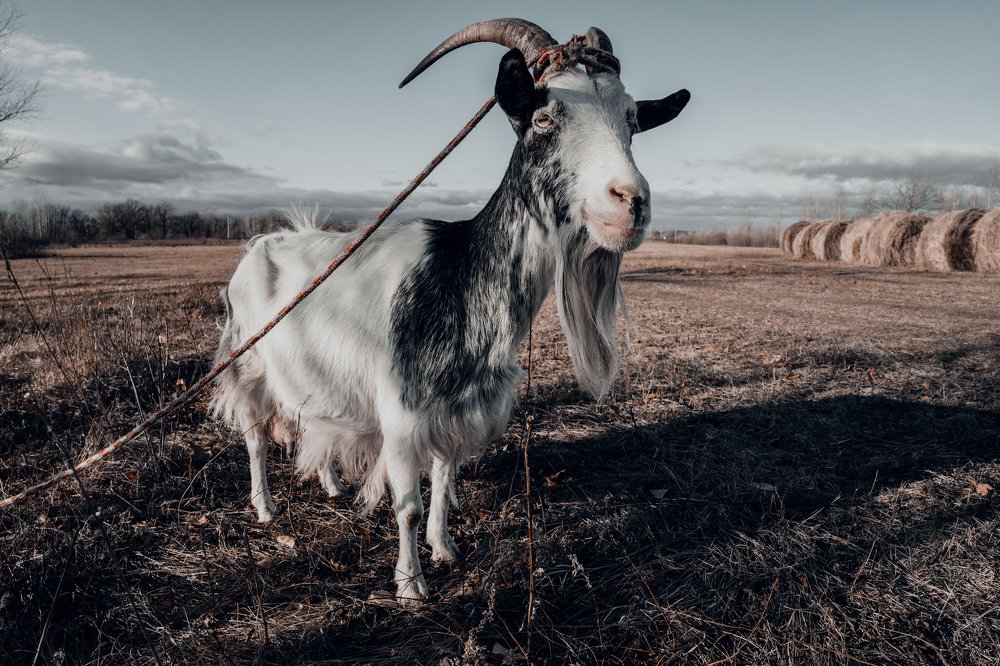 Photograph by Анна Силютина