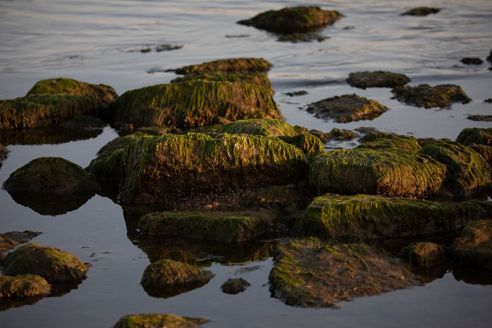 Морские камушки.