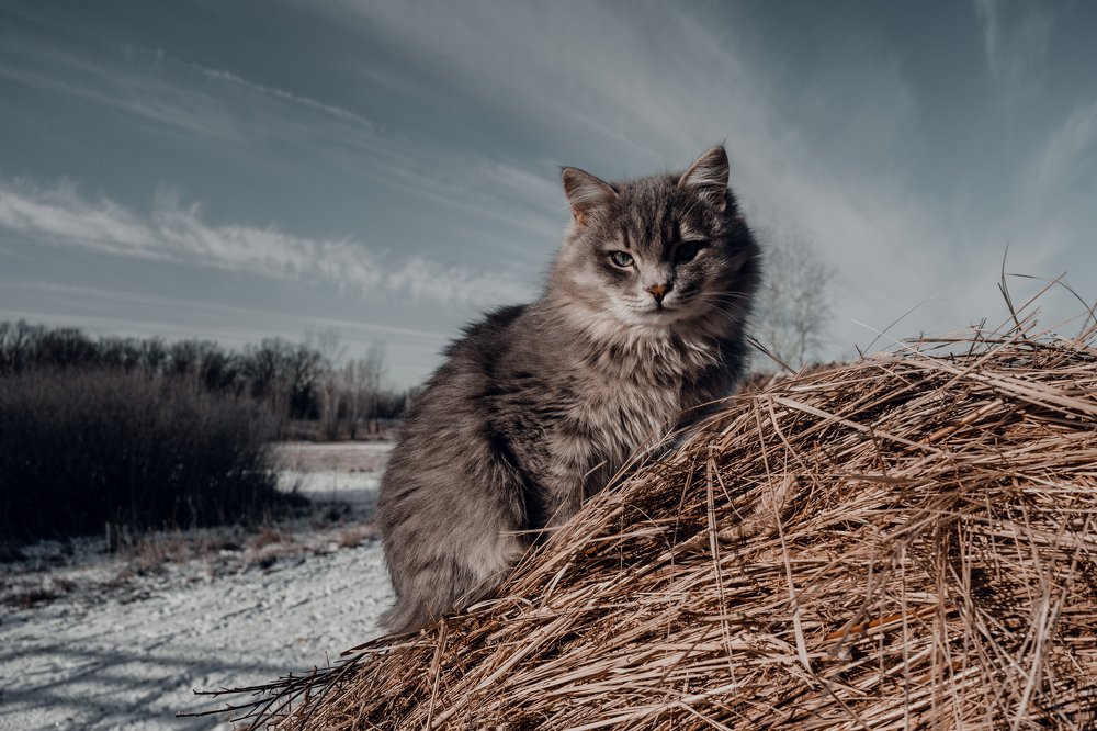 Photograph by Анна Силютина