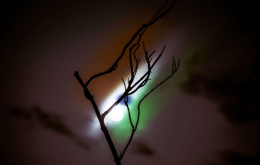 Photograph by Rohan Prajapati