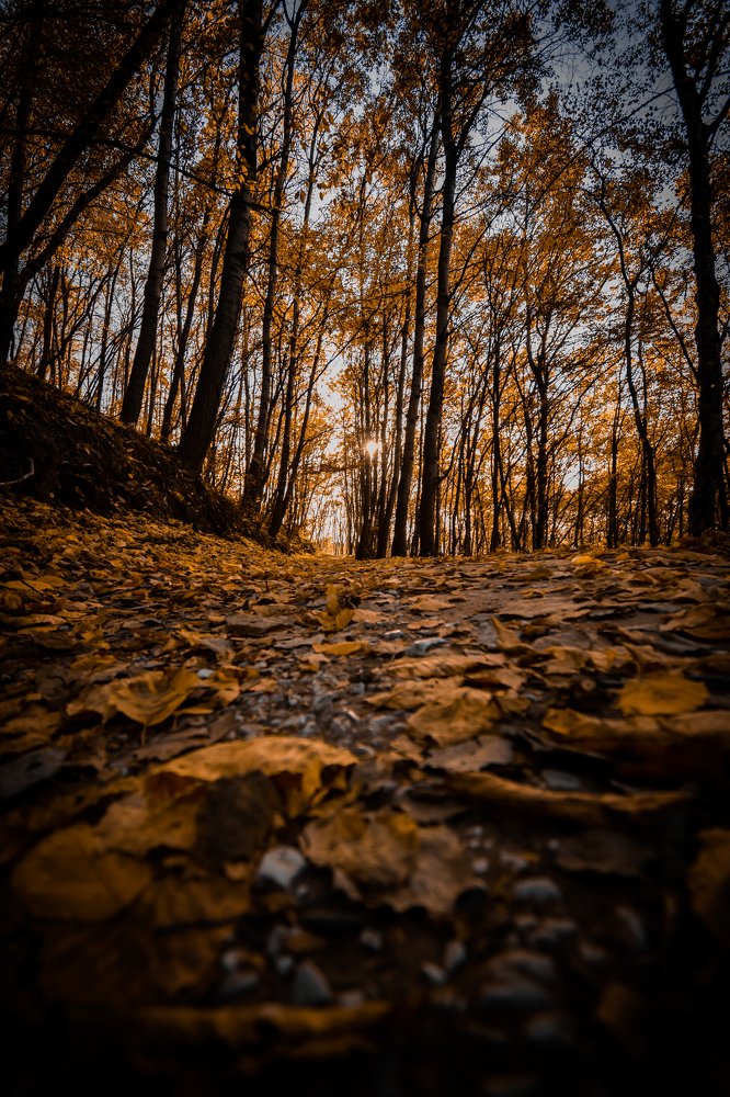 Photograph by Матвей Иванов