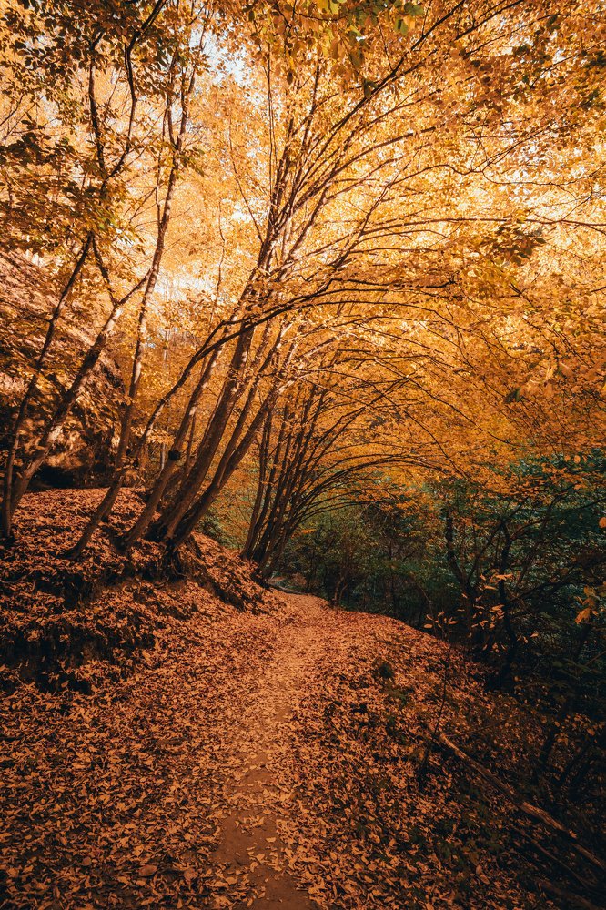 Photograph by Матвей Иванов