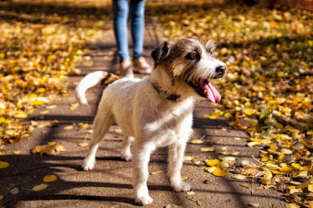 Photograph by Александр Быдрицкий