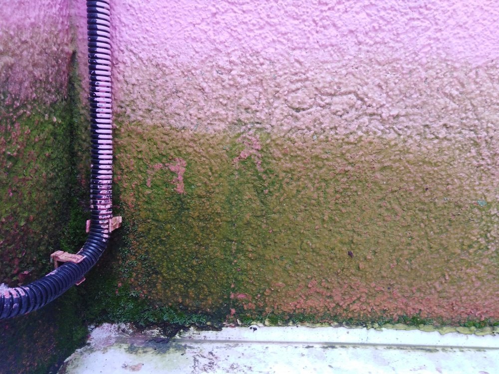 Photograph by Татьяна Ситникова