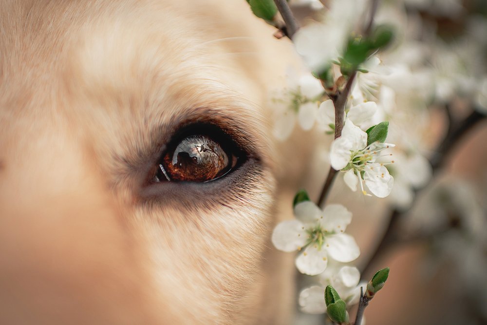 Фотография автора PO IRINA