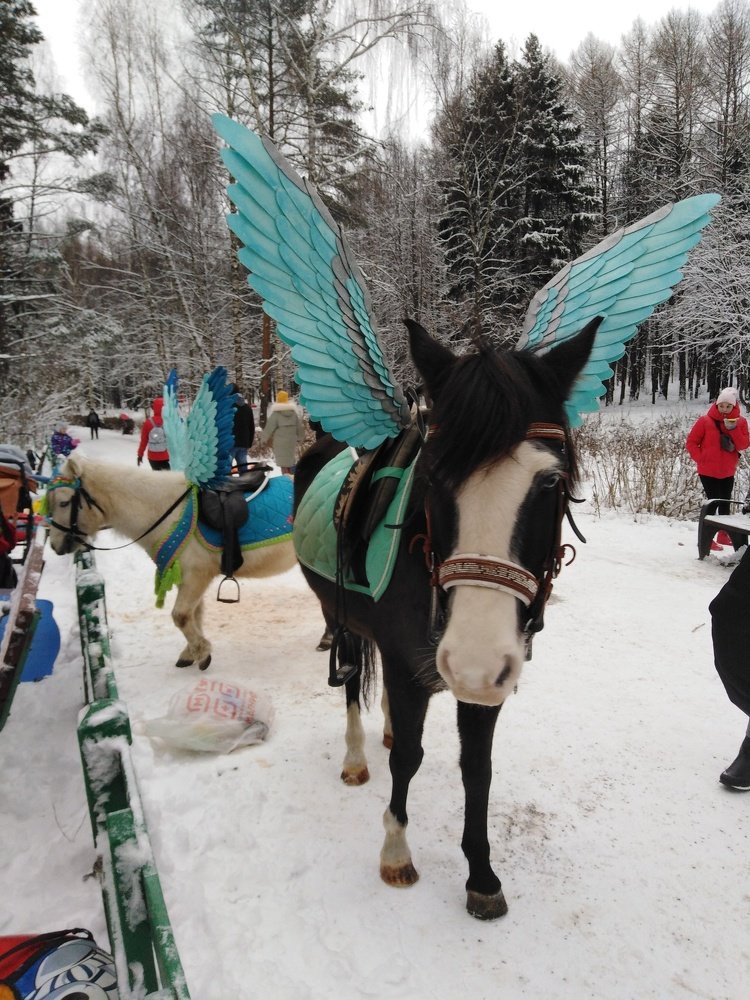 Photograph by Татьяна Ситникова