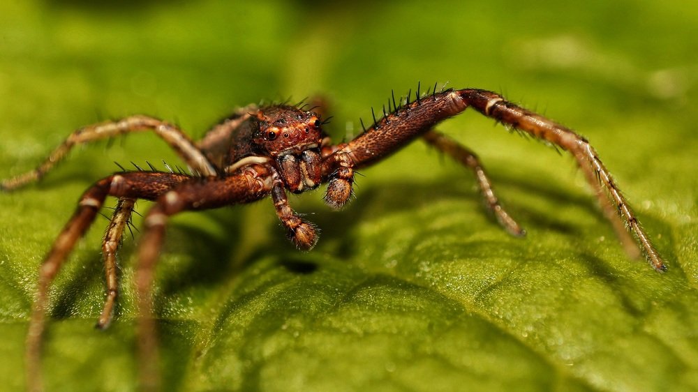 Photograph by Sajjad Mahdavi