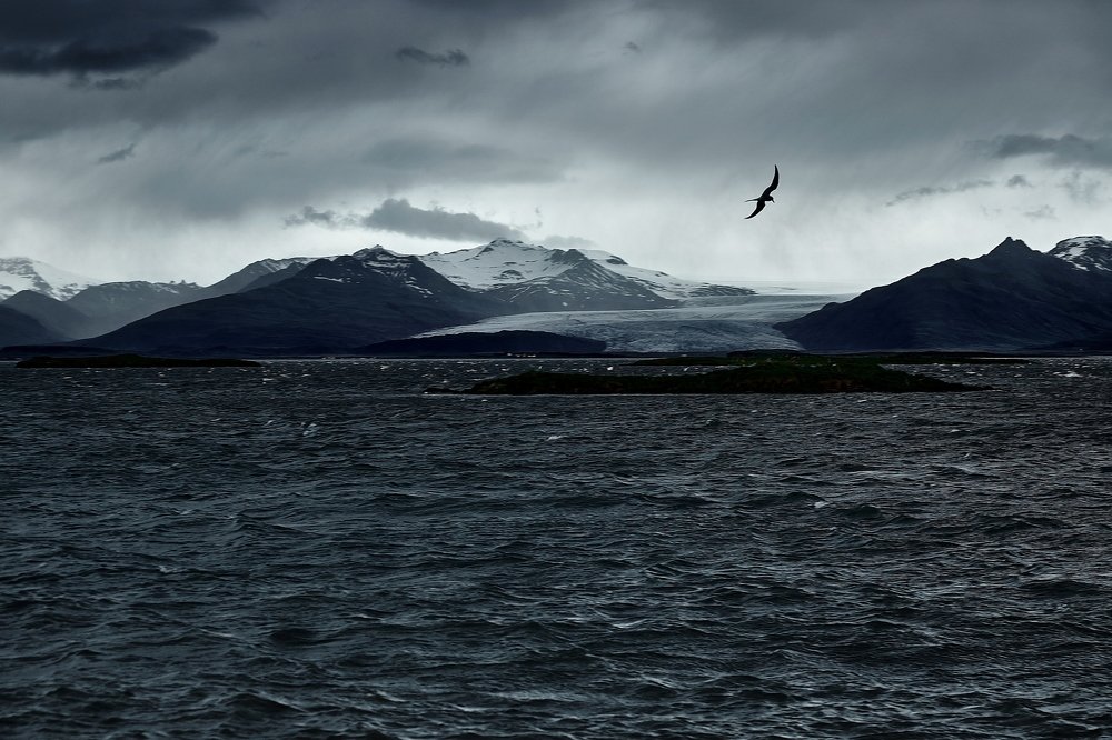 Photograph by Леонид Петруша