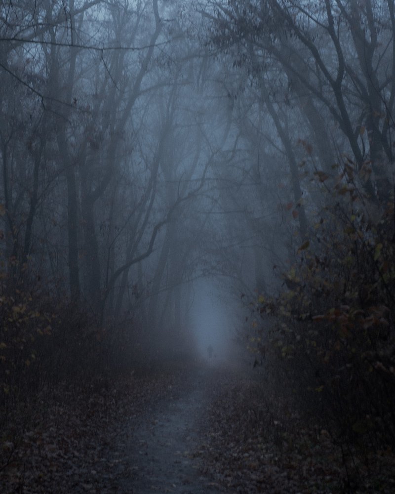 Photograph by ЕВГЕНИЙ РУДЕНКО