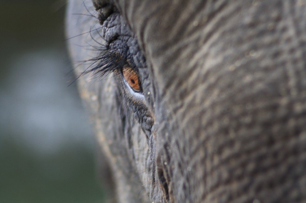 Photograph by Денис Терехин