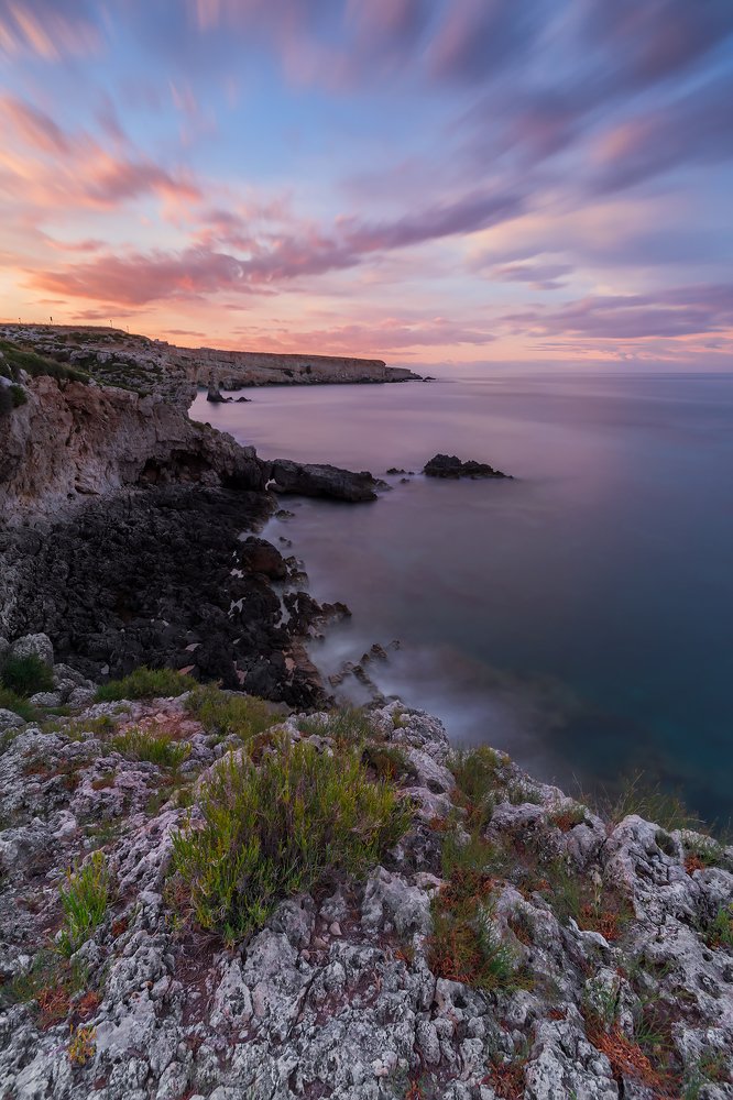 Photograph by Massimo Tamajo