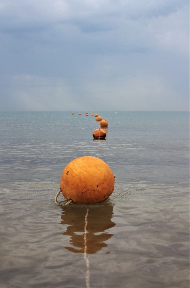 Photograph by Ольга Сергиенко