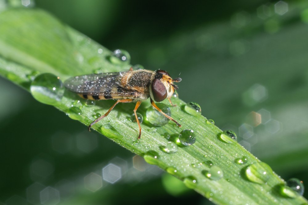 Photograph by Владимир Машко