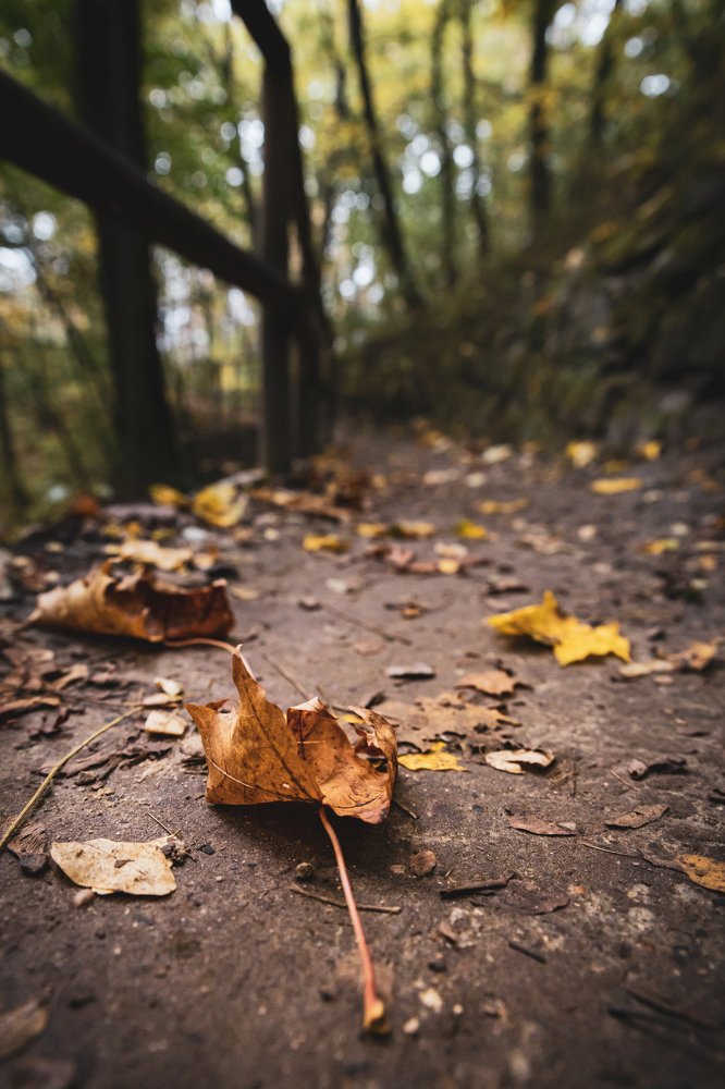 Photograph by Володимир Сорін