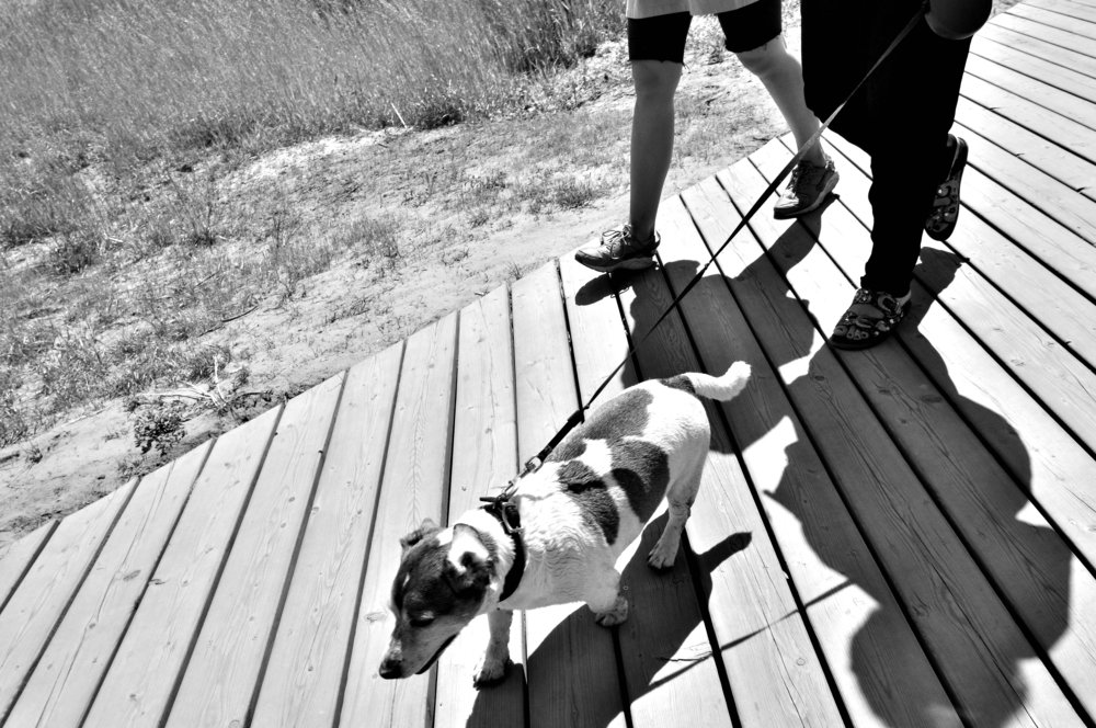 Фотография автора Клавдия Васильева