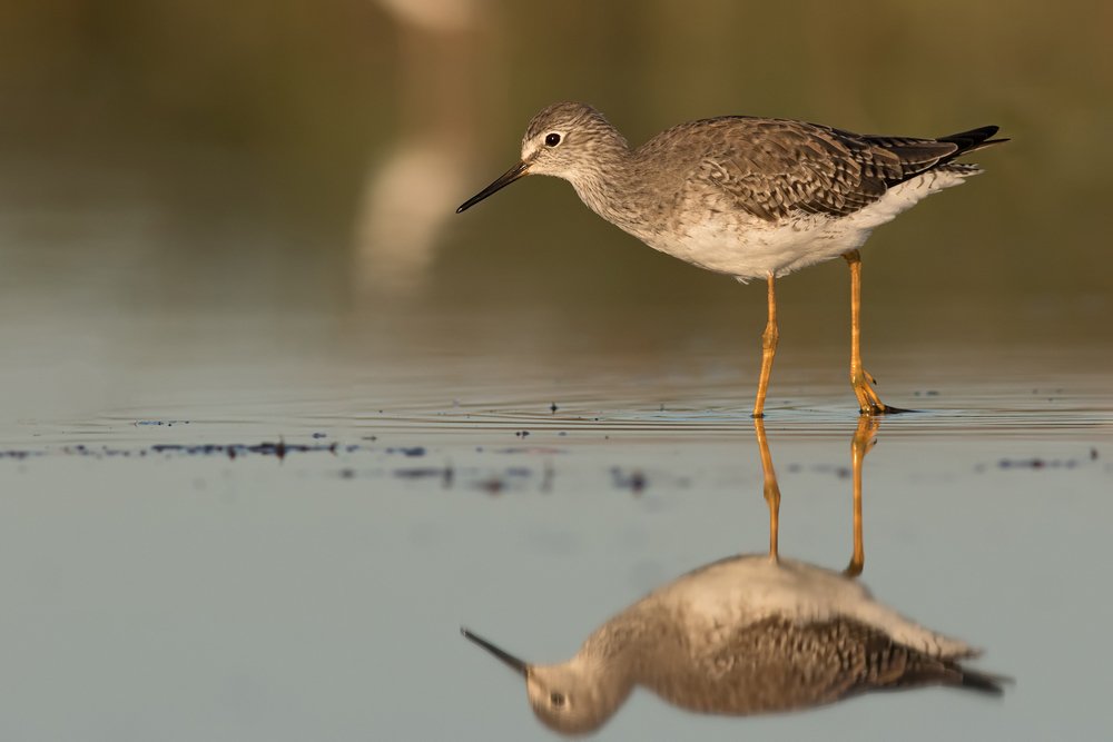 Photograph by Roman Anselmo