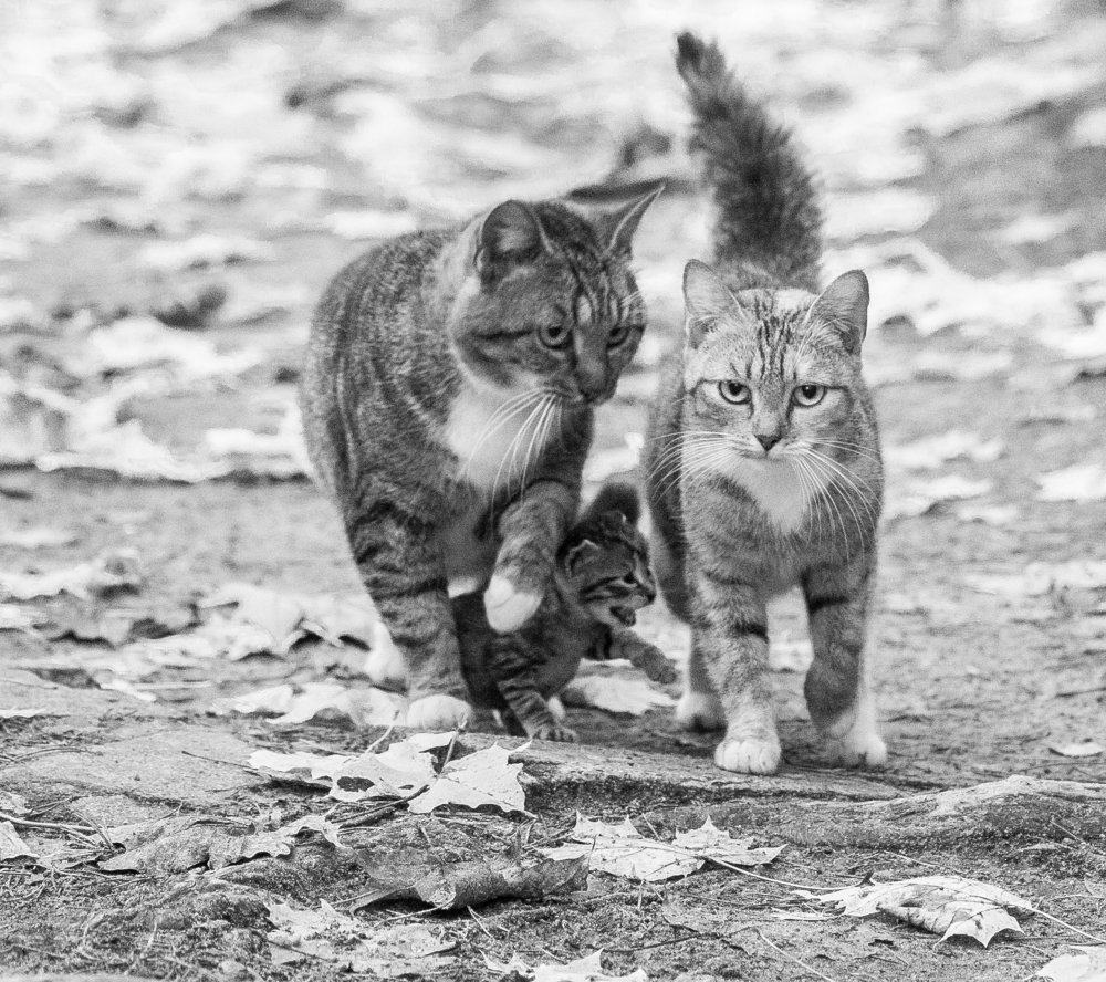 Photograph by Анна Углова