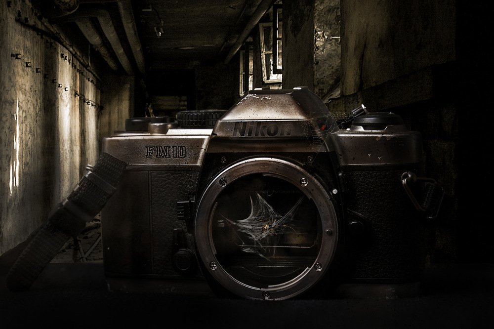 Photograph by Mohsen Moradi