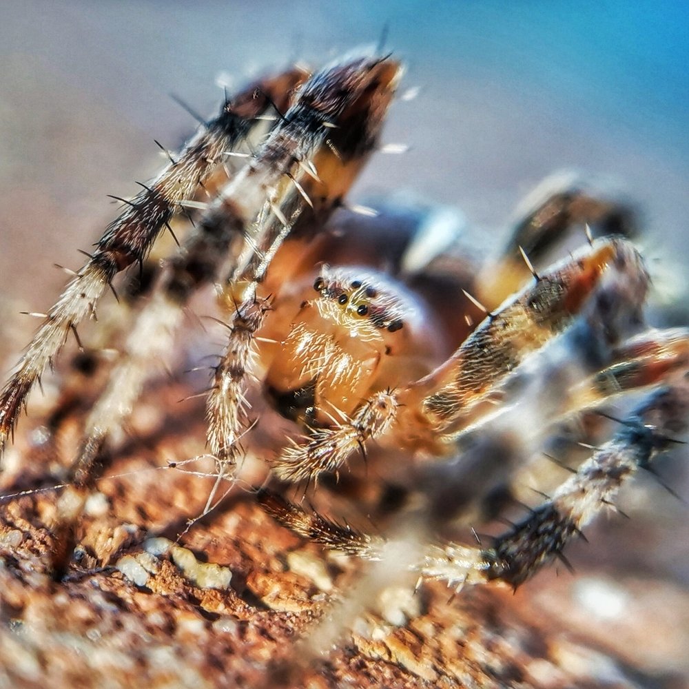 Photograph by Оксана Маракушина