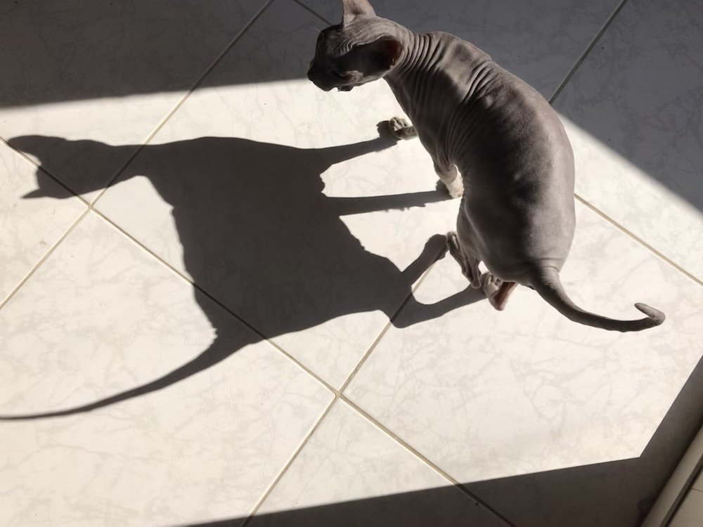 Photograph by Мария Берёзка