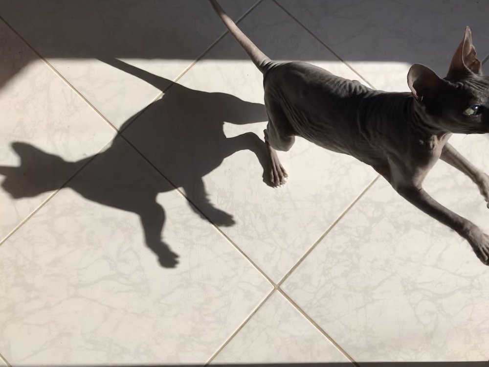 Photograph by Мария Берёзка