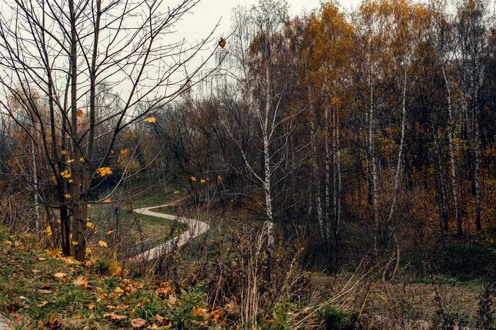 Photograph by Алёна Сокольникова