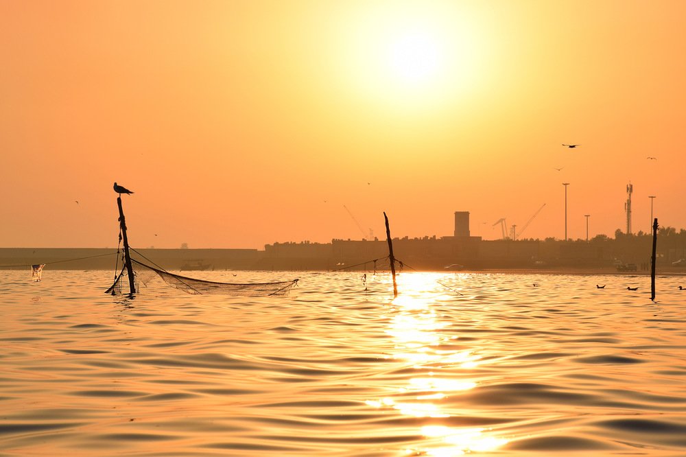 Photograph by Mohsen Moradi