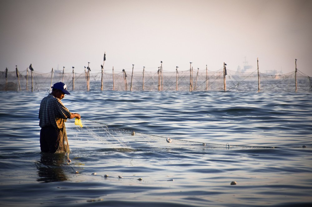 Photograph by Mohsen Moradi