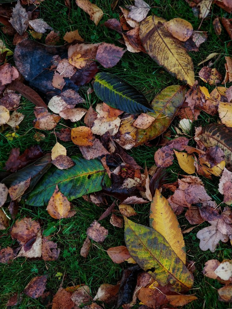 Photograph by Анна Буданова