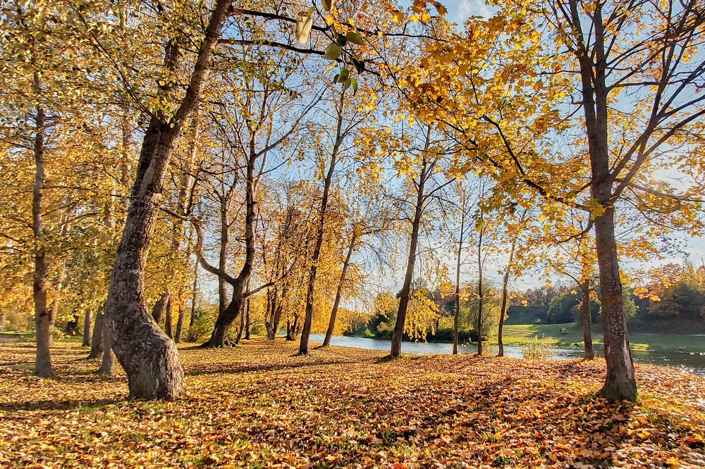 Photograph by Alla Matrosova