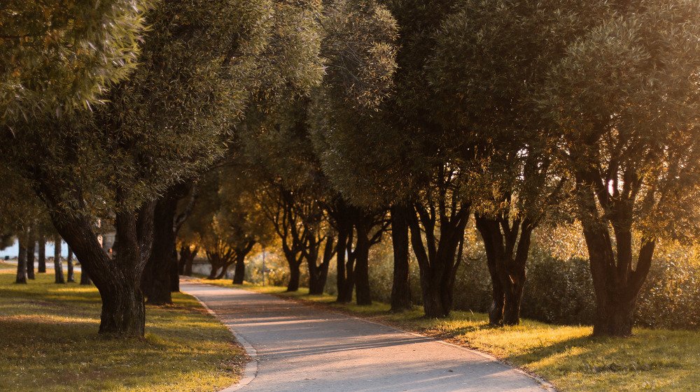 Photograph by Анастасия Калина