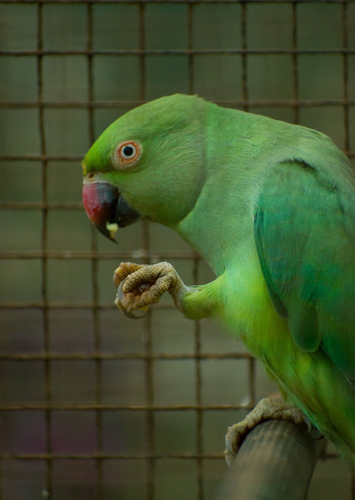 Фотография автора abhilash a k