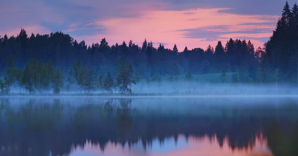 Июньская полночь . . .