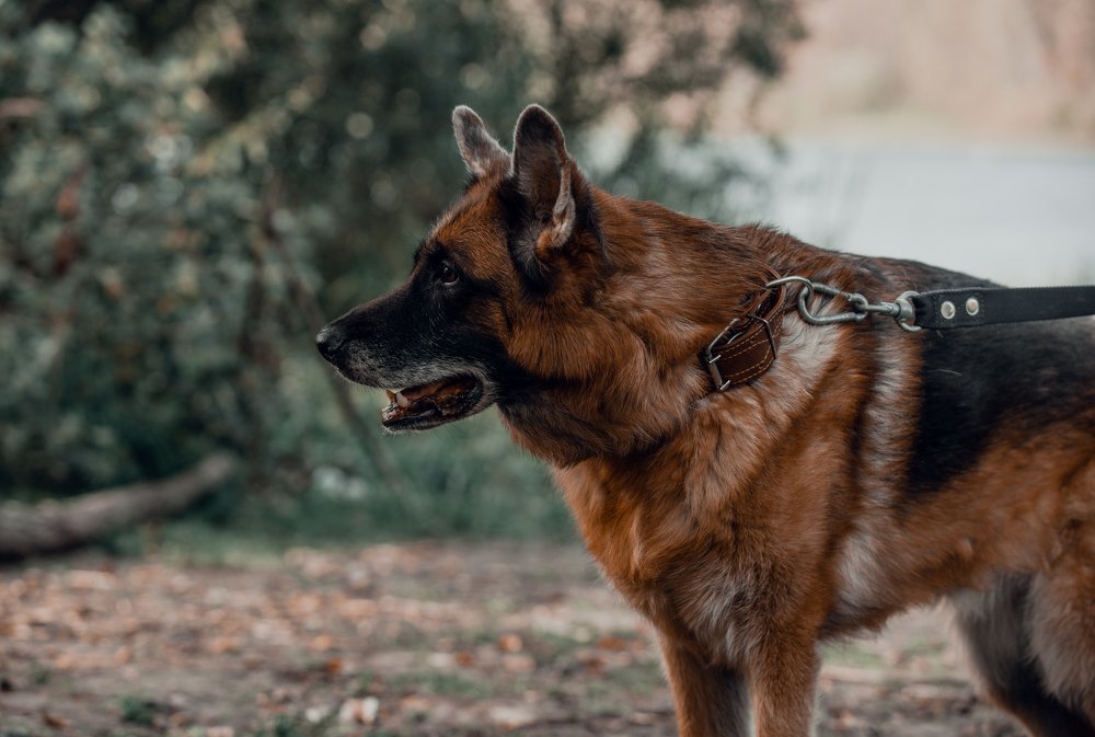 Photograph by Алёна Сокольникова