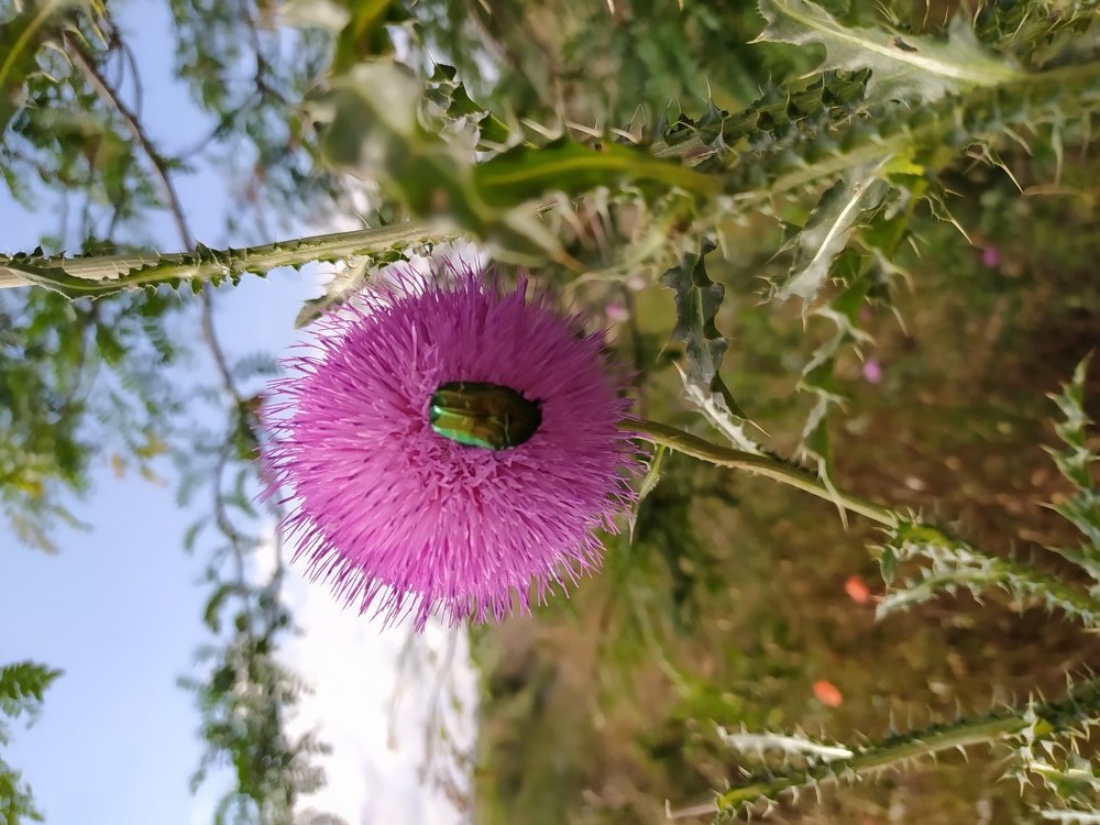 Photograph by Наталья Авраменко